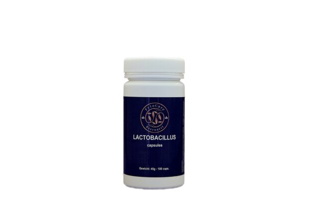 LACTOBACILLUS