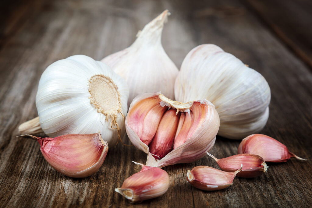 Allium sativum (Knoflook)