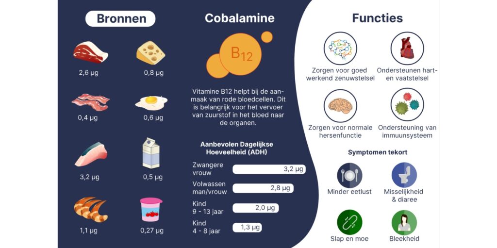 Vitamine B12 overzicht